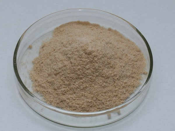 2709碱性卵白酶（地衣芽孢杆菌卵白酶）Alkaline proteinase