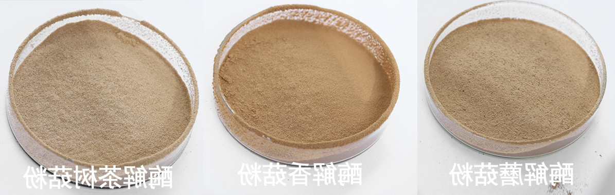 香解菌菇粉