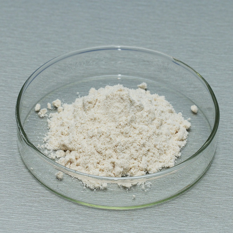 acid protease