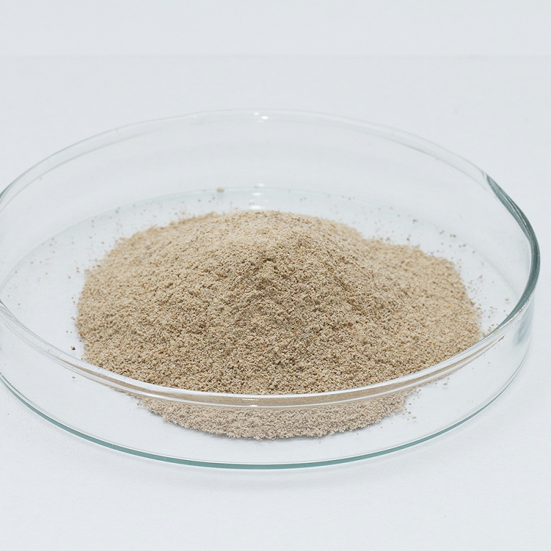 acid protease2